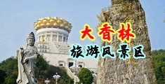 啊好棒啊干我穴视频中国浙江-绍兴大香林旅游风景区